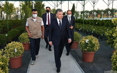 Sergelida istirohat bog‘i yaratildi Sergelida istirohat bog‘i yaratildi