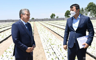 President Shavkat Mirziyoyev visits an innovative greenhouse in Andijan