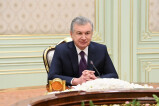 Президент Узбекистана принял директора Бюро по демократическим институтам и правам человека ОБСЕ