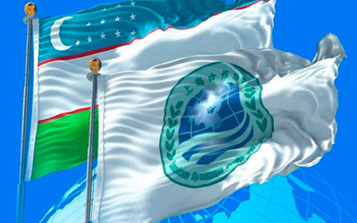 Инициативы Президента Узбекистана вносят весомый вклад в поступательное развитие ШОС