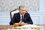 President of Uzbekistan receives the UAE delegation