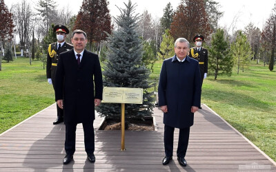  Президенты Узбекистана и Кыргызстана посадили дерево