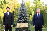 Президент Туркменистана посадил дерево на Аллее почетных гостей