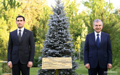 Turkmaniston Prezidenti Faxriy mehmonlar xiyobonida daraxt ekdi