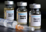 Об изготовлении дешевой вакцины от COVID-19 для ГАВИ