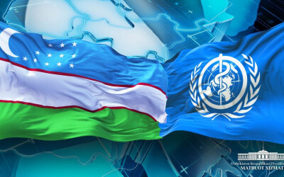 Глава ВОЗ направил письмо Президенту Узбекистана Глава ВОЗ направил письмо Президенту Узбекистана