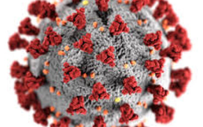 О ситуации вокруг распространения коронавируса в мире О ситуации вокруг распространения коронавируса в мире