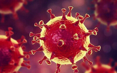 О ситуации вокруг распространения коронавируса в мире О ситуации вокруг распространения коронавируса в мире