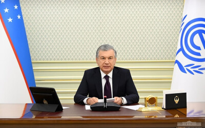 Президент Узбекистана выступил за развитие многопланового партнерства в рамках ОЭС