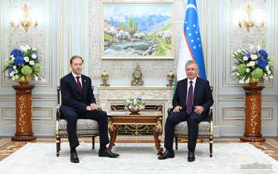 Президент Республики Узбекистан принял заместителя Председателя Правительства Российской Федерации