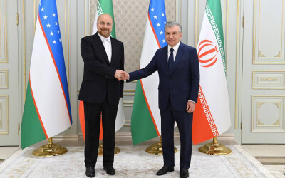 Президент Узбекистана обсудил с главой Парламента Ирана вопросы расширения многопланового сотрудничества