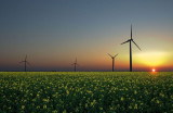 Главная цель Экологической партии Узбекистана – использование экологически чистой энергии​
