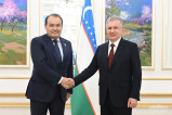 Президент Узбекистана и Премьер-министр Пакистана рассмотрели вопрос продвижения проекта Трансафганской железной дороги