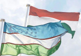 Узбекистан – Венгрия: новые перспективы сотрудничества в условиях пандемии