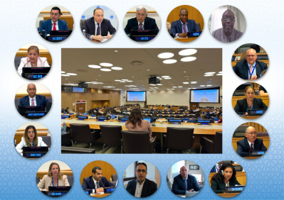 Директор ИСМИ принял участие в ежеквартальном брифинге КТУ ООН для стран-членов