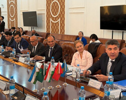 Uzbek expert emphasizes the importance of developing strategic partnership in Central Asia Uzbek expert emphasizes the importance of developing strategic partnership in Central Asia