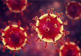 Dunyoda koronavirus tarqalishi bilan bogʻliq vaziyat haqida