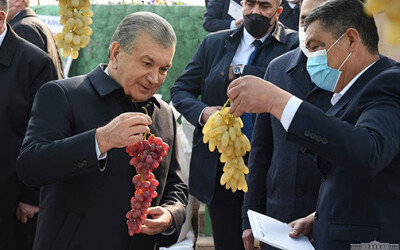 Shavkat Mirziyoyev: Har bir yosh haqida ota-onasi qanday qayg‘ursa, men ham shunday qayg‘uraman Shavkat Mirziyoyev: Har bir yosh haqida ota-onasi qanday qayg‘ursa, men ham shunday qayg‘uraman