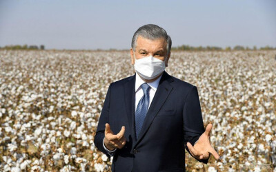Президент: Кластер и материальный стимул – будущее сельского хозяйства Узбекистана
