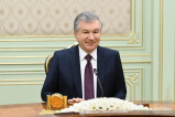 Президент Республики Узбекистан принял спецдокладчика ООН