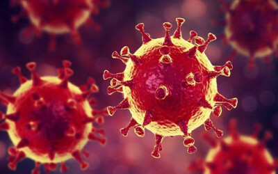 О ситуации вокруг распространения коронавируса в мире О ситуации вокруг распространения коронавируса в мире