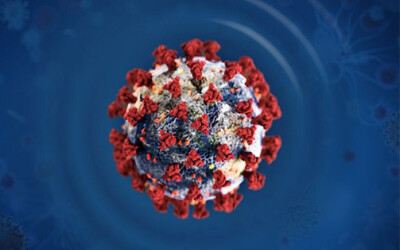 О ситуации вокруг распространения коронавируса в мире О ситуации вокруг распространения коронавируса в мире