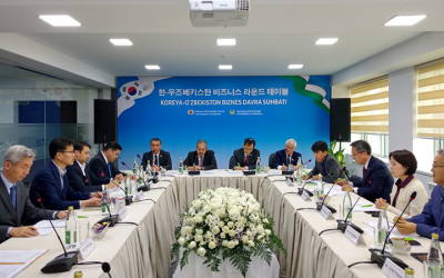 Сенаторы встретились с предпринимателями Кореи, осуществляющими свою деятельность в нашей стране