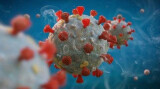 О ситуации вокруг распространения коронавируса в мире