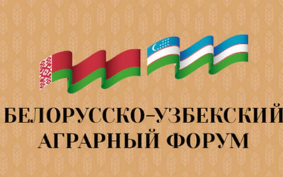 Чем Узбекистан поможет Беларуси 