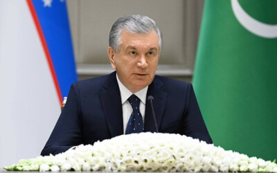 The development of cooperation between Uzbekistan and Turkmenistan discussed